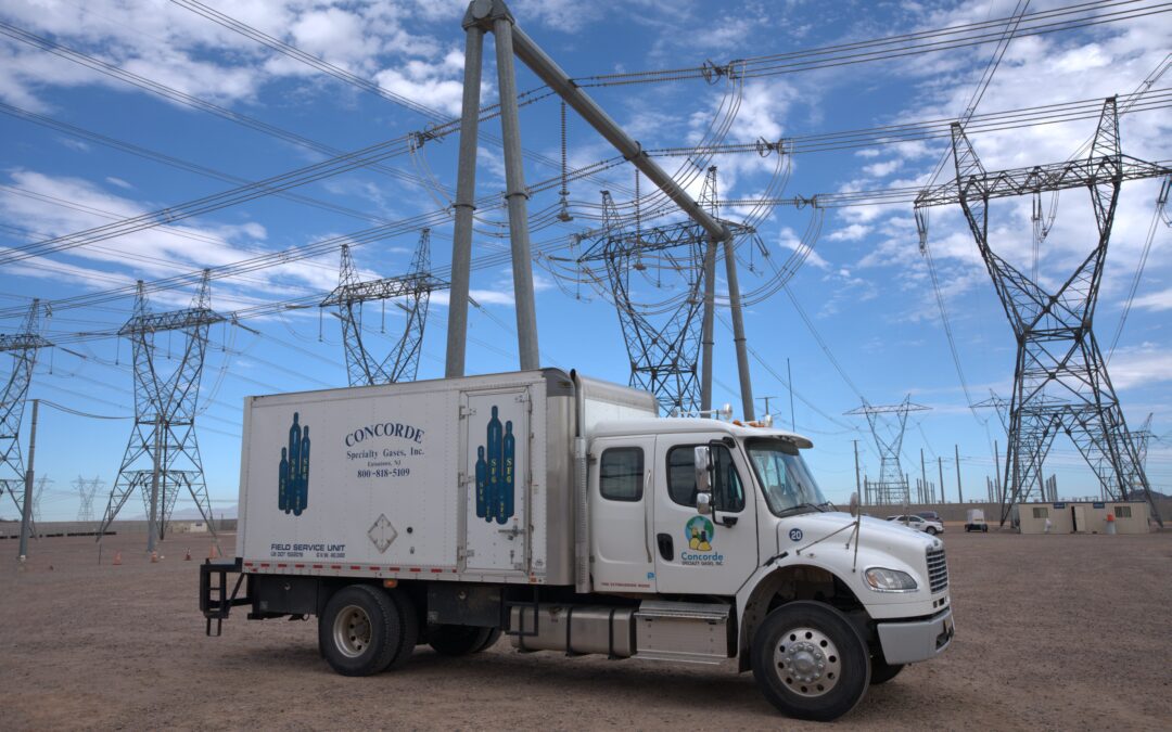 SF6 Gas Services & Management