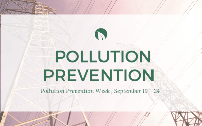 Pollution Prevention at the Source